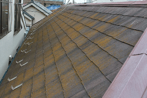 ガイナ塗装　屋根のコケを洗浄します